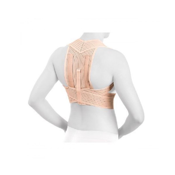 Espaldera Transpirable Reforzada Actius By Orliman Ref....