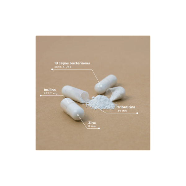 Kobho pre-post probiotic 60 capsulas 2