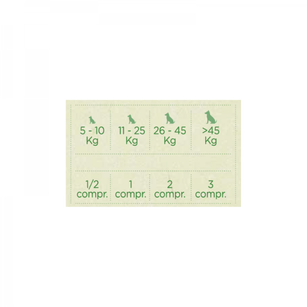 Dr. Dingo articular-dol 20 comprimidos 2