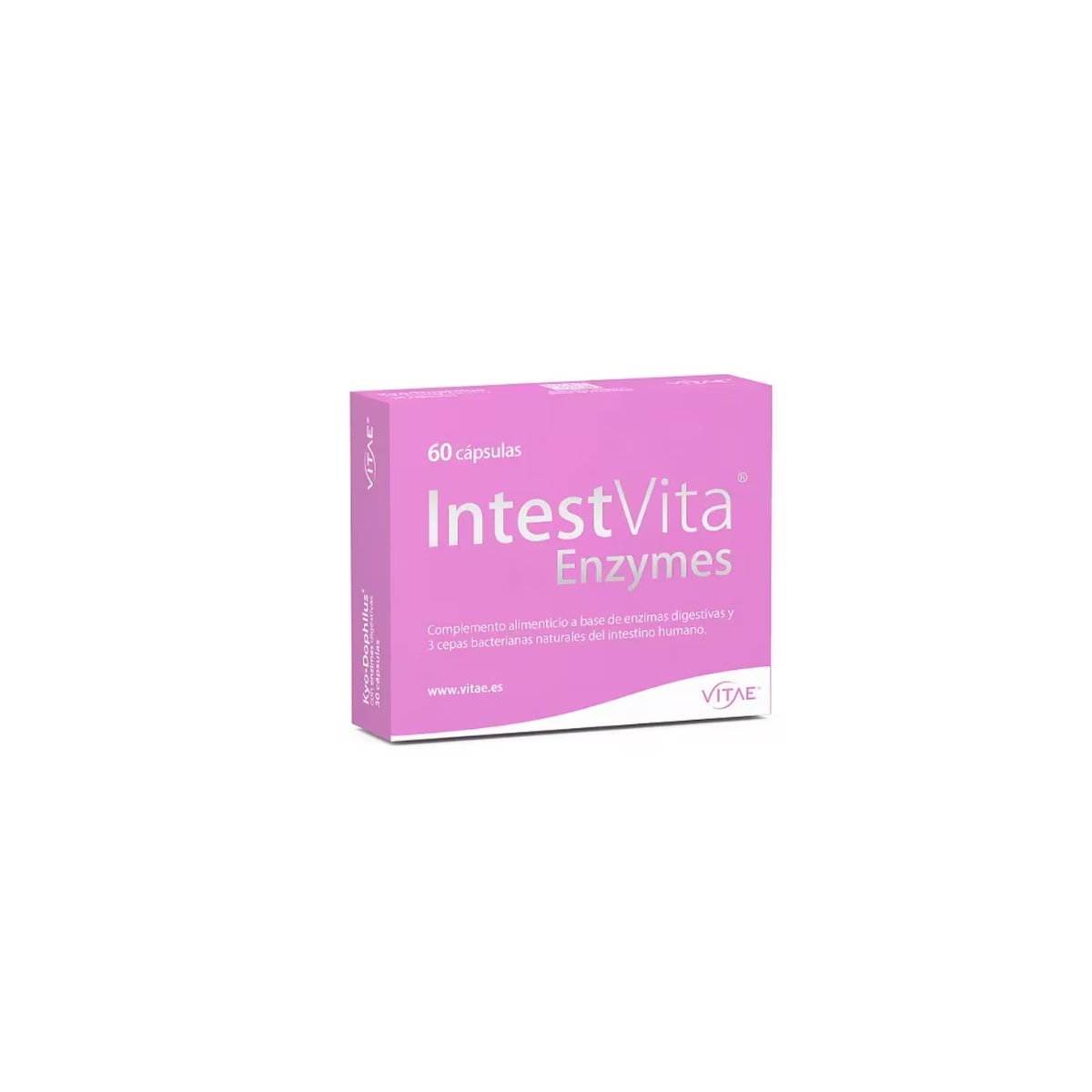 Intesvita enzymes 60 capsulas