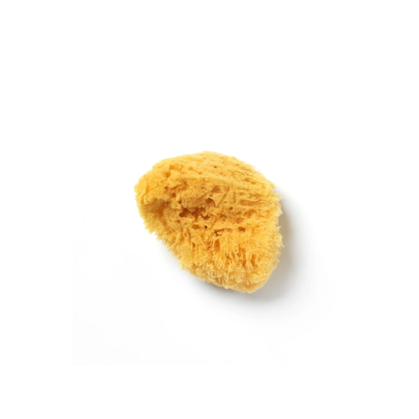 Esponja infantil natural aposan 2