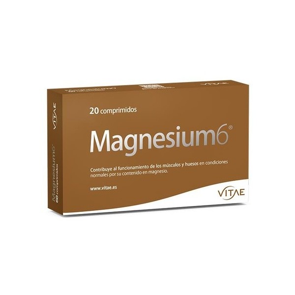 Magnesium 6 20 Comprimidos